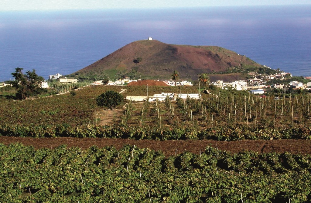 Foto de Monumento Natural de La Montaña de Los Frailes en Los Realejos, Santa Cruz de Tenerife